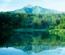 上海旅游景点